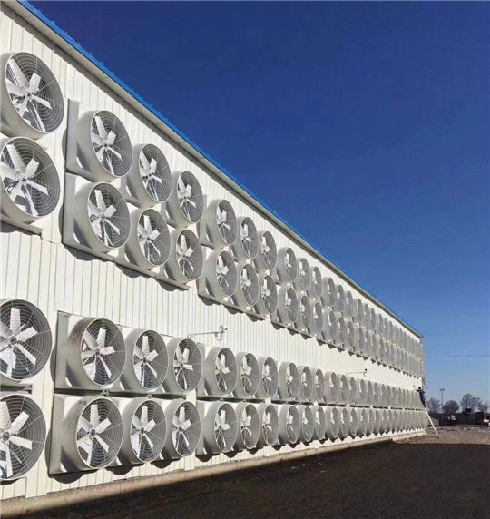 ����������L�C����